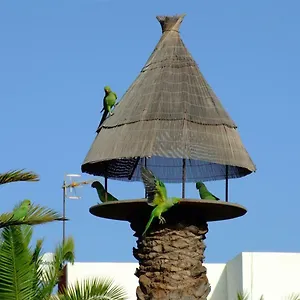  Appartement La Kasita In Primavera Espagne